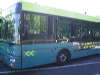 reptielendierentuin serpo Connexxion stadsbus